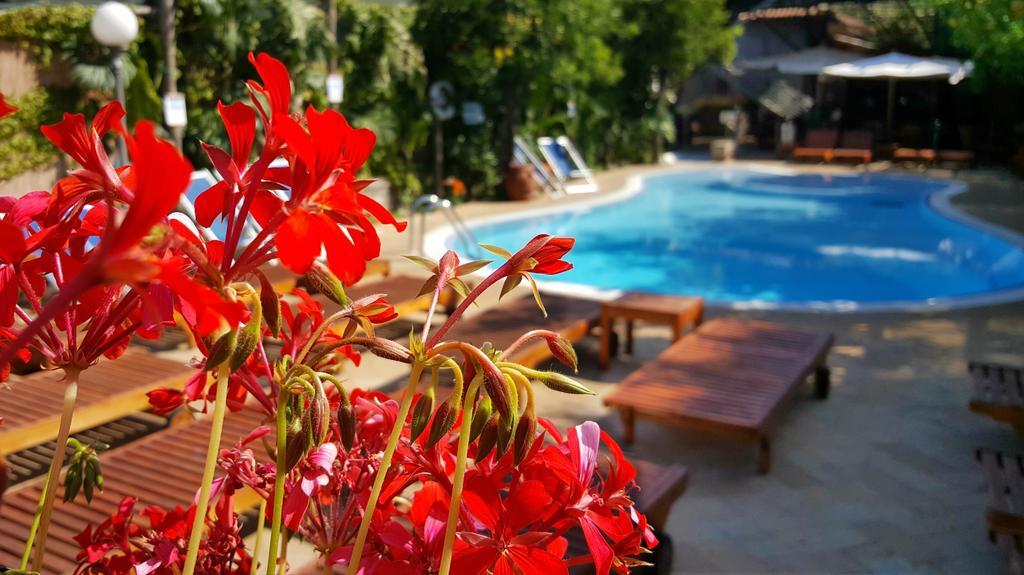 Residence Villaggio Verde Półwysep Sorrentyński Zewnętrze zdjęcie